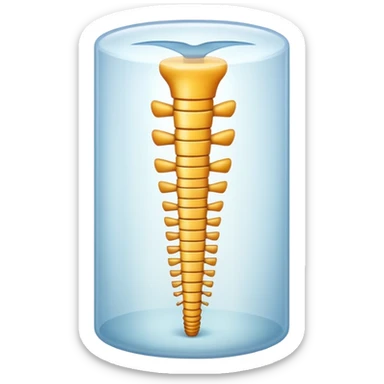 simplified spinal cord with few details sticker