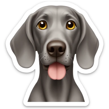 Weimaraner sticker