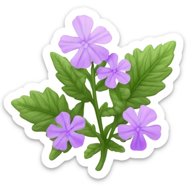 verbena sticker