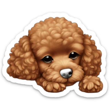 Red toy poodle sleeping  sticker