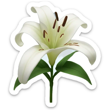 Lily sticker