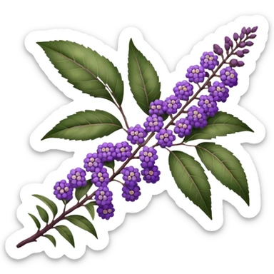 buddleja branch sticker