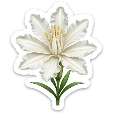 Tuberose sticker