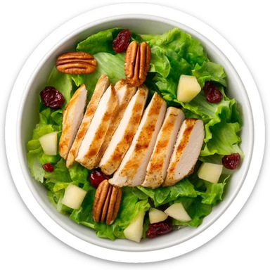 Salad with pecans, grilled chicken, dried cranberries, and apples made with iceberg lettuce sticker