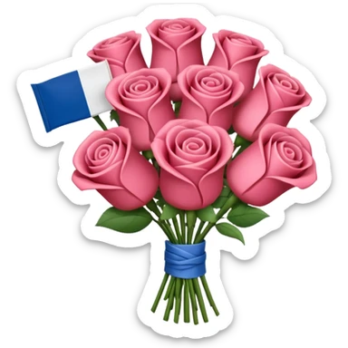 SPAM MEAT rose bouquet wrapped in french flag sticker