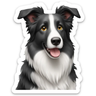 Grey and black Berle border collie  sticker