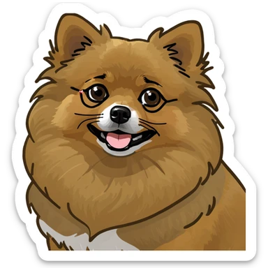  Tan Pomeranian under a rainbow sticker