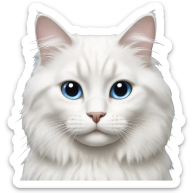 White ragdoll cat  sticker