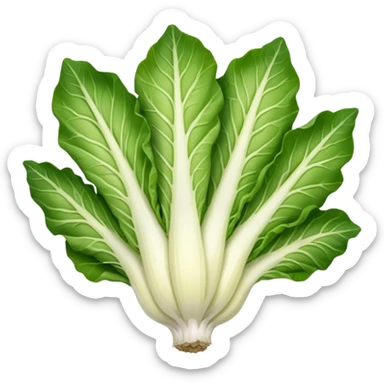 green blegian endive radicchio slim single head  sticker