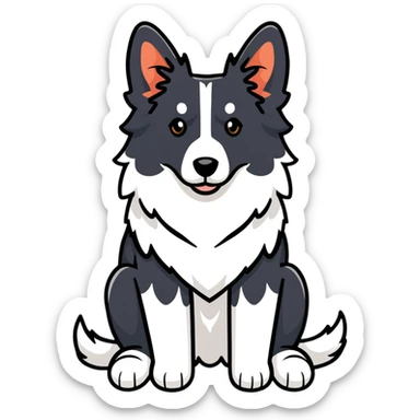 Border collie dog with only one black ear sticker