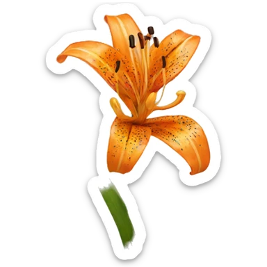 tiger lily sticker