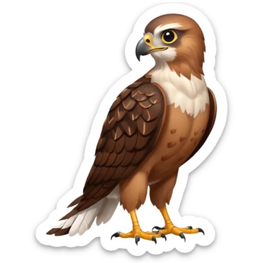 Create a single emoji of a Hawk in full body, shown at a slight side angle in a natural, characteristic pose. Cute and stylized like an emoji, but clearly recognizable.
 sticker