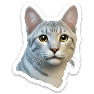 Футболка с логотипом best market  sticker