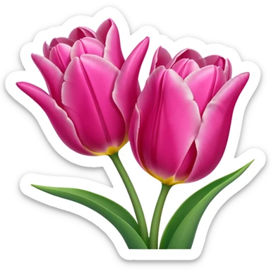 Pink tulips sticker