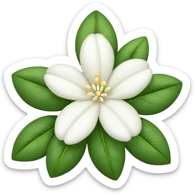 Night Jasmine flower sticker