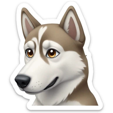 Tan husky with one blue eye and one brown eye sticker