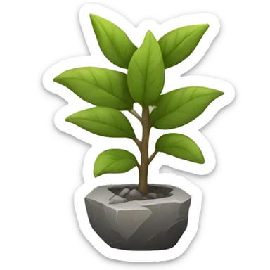 stone plant sticker