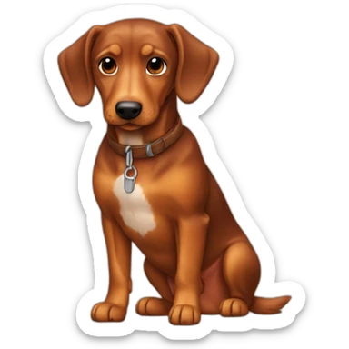 Perro-teckel-marron-fuego sticker