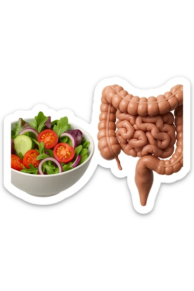 bowl di insalata fluttua in aria insieme ad intestino umano anatomico realistico, IPERREALISTICO 4K sticker