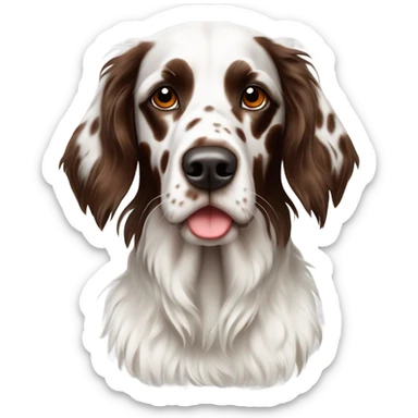 White and brown beautiful English setter sticker