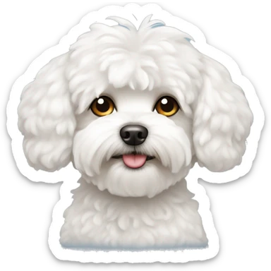 maltipoo dog with white fur on her forehead sticker