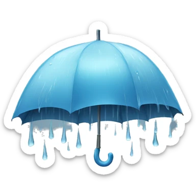 rain  sticker