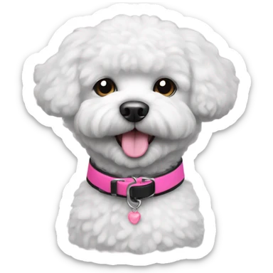 Completely Black bichon dog with a pink collar sticker