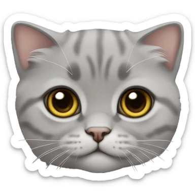 grey scottish fold kitten  sticker