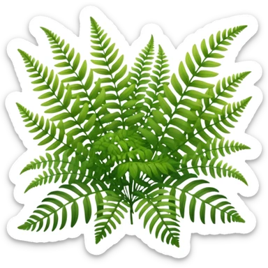 A cluster of soft green ferns growing under shaded trees. sticker