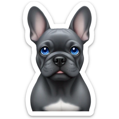 dark grey french bulldog with blue eyes sticker