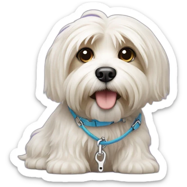 havanese dog with leash sticker