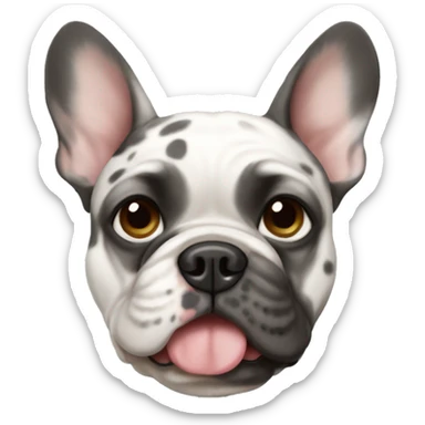 Merle French bulldog  sticker