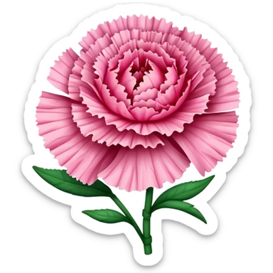carnation flower sticker