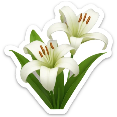 Lily flowers sticker