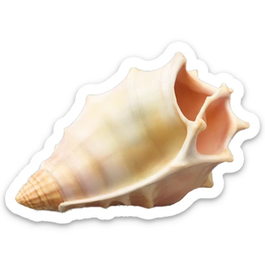 conch shell sticker