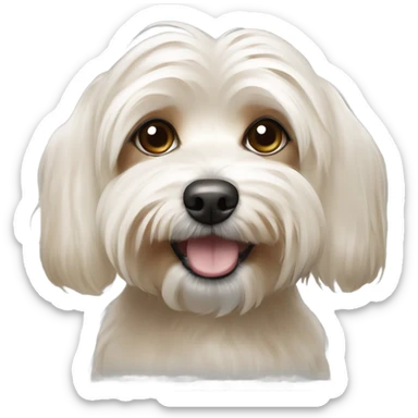 A havanese dog,that’s mostly cream,with a bit of light brown on the ears sticker