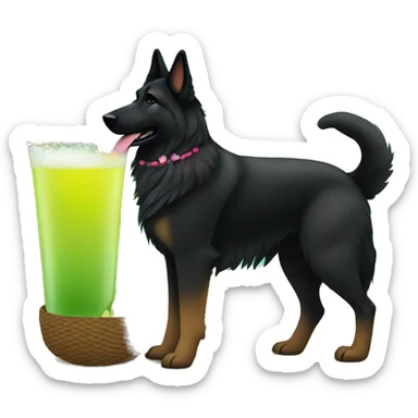 Black long haired german shepherd on the beach under a tiki hut with a margarita  sticker