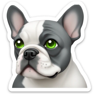 grey french bulldog with green eyes sticker