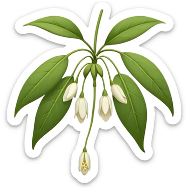wilted jasmine emoji sticker