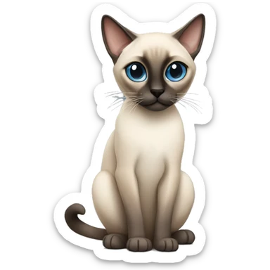 siamese cat with grey eyes sticker