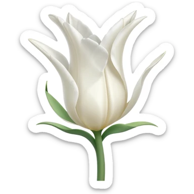 white tulip, simple, no text sticker