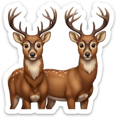 Whitetail deer buck being surprised from behind by another whitetail deer buck sticker