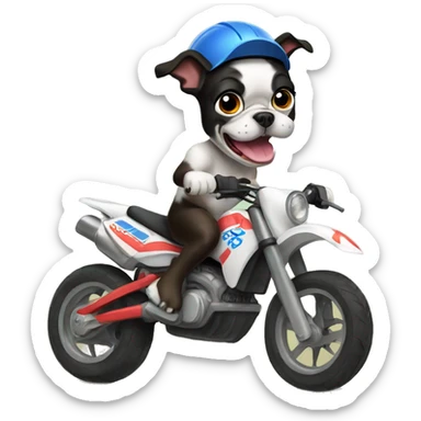 Boston terrier riding dirt bike sticker