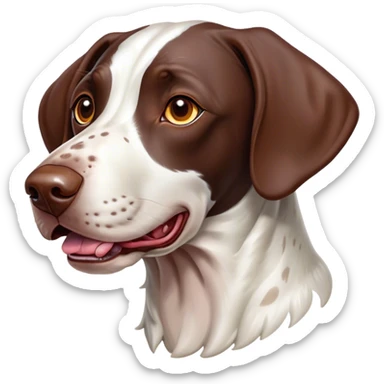 Cinematic Comical German Pointer Portrait Emoji, Head tilted dramatically with an exaggeratedly amused expression, featuring a striking liver and white coat with bold markings, wide, expressive brown eyes filled with playful disbelief, Simplified yet hilariously expressive features, highly detailed, glowing with a slightly sassy glow, high shine, dramatic yet playful, stylized with an air of cheeky charm, bright and endearing, soft glowing outline, capturing the essence of a spirited and over-the-top companion, so meme-worthy it feels like it could side-eye its way into internet fame instantly! sticker