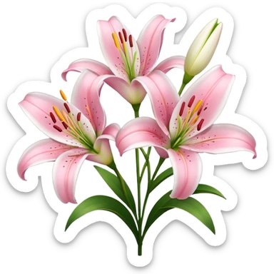 lilies pink & white flower sticker