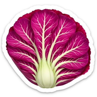 red napa cabbage sliced, no green, all red, no face sticker