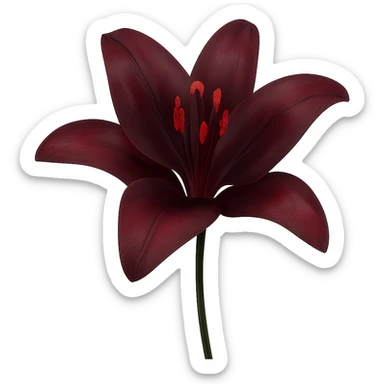 elegant bordeaux colored lily flower, transparent background sticker