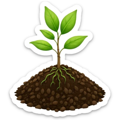 A tiny two leaf seedling coming out of a seed sticker