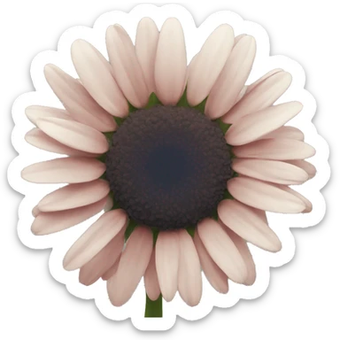 daisy sticker