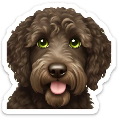 Dark brown Australian labradoodle with green eyes sticker